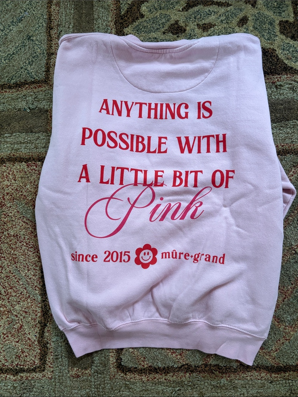 Pink Graphic Sweatshirt - Anything Is Possible